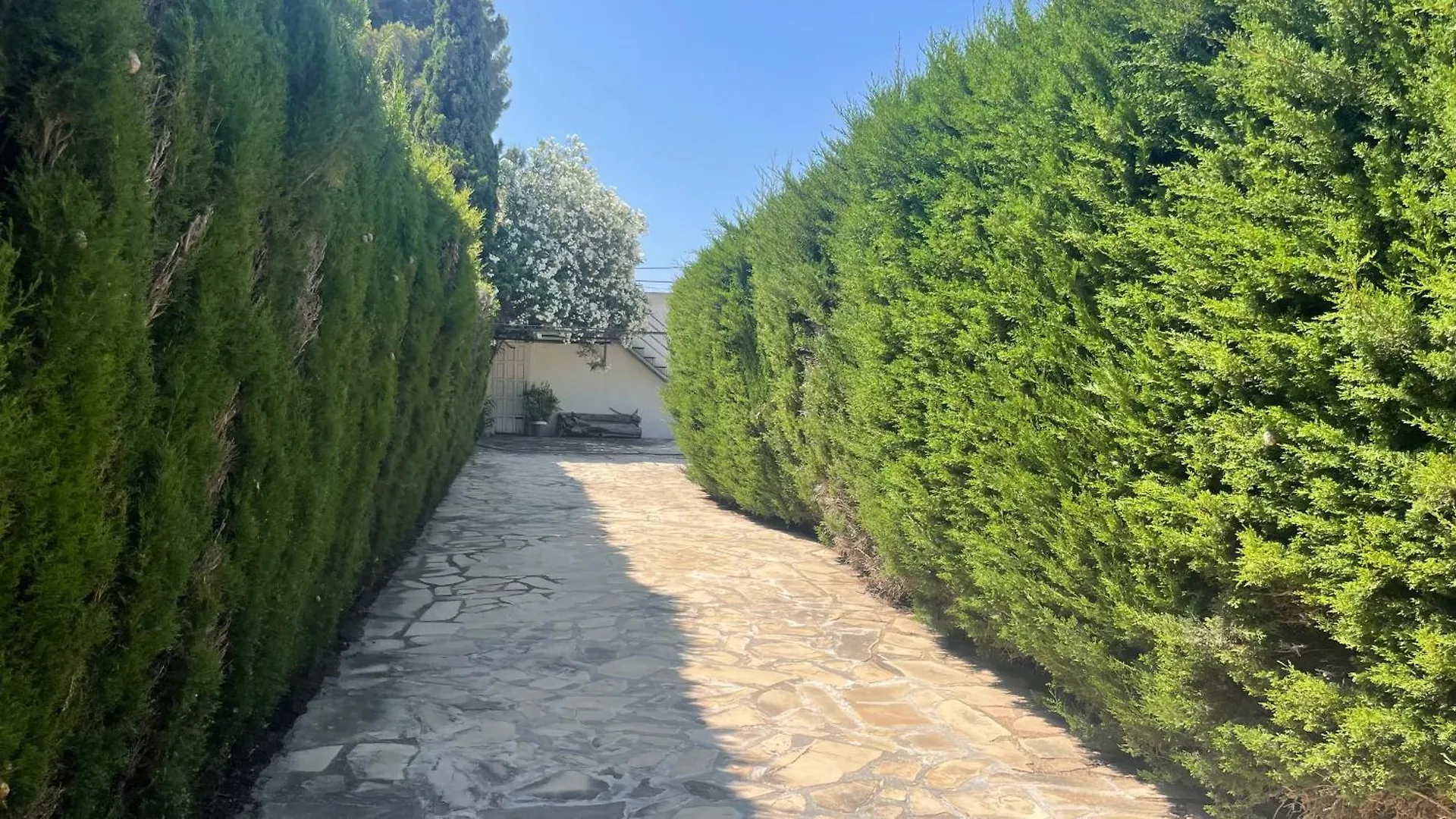 Meddays Villa San Miguel 미아미플라자 스페인